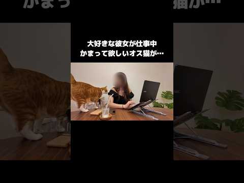 彼女が仕事中のオス猫の行動が…