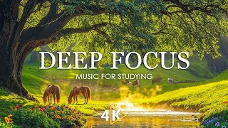 Focus Music for Work and Studying, Background Music for Concentration, Study Music #12
