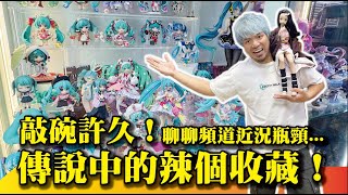 【 大褪色！公開我所有的收藏！】聊聊頻道近況與我的無奈～