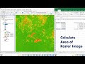 Raster Data Analysis Techniques