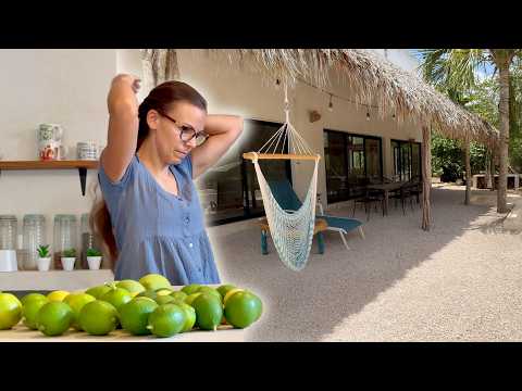 ☔ Saison des Pluies & Nettoyage Extrême 🌿 + Confitures Maison aux Citrons du Jardin 🍋