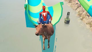 SPIDERMAN & COW CRAZY JUMPS/FALLS GTA 5 (Euphoria Physics/Ragdolls)