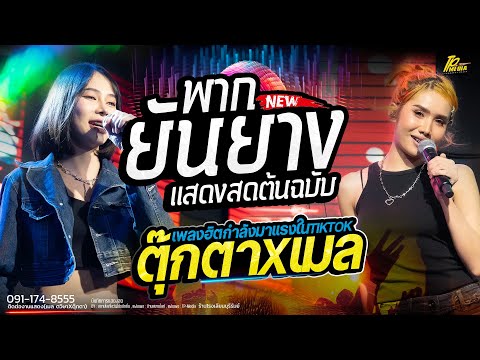 พากยันยาง ( ພາກຍັນຍາງ ) - เมล ตวิษา X ตุ๊กตา นริศรา