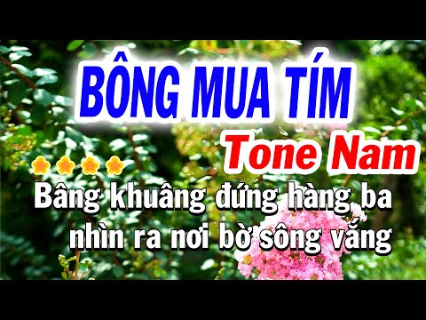 Karaoke Bông Mua Tím Tone Nam Trữ Tình (Mi Thứ) karaoke Tuyết Nhi