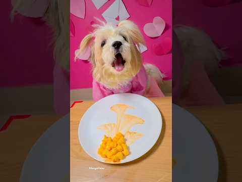 Dessert thread Hack  #shorts#tiktok  #cooking hacks  #dog #mangolhasa