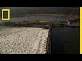Salmon Migration and Dam Impact