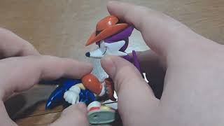 Sonic vs Fang 