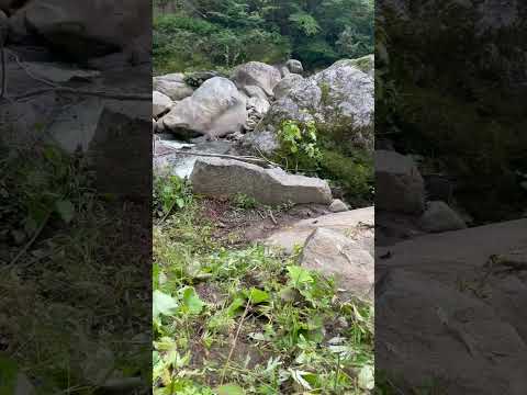 ngày 28 tháng 10, 2025