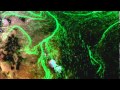 Wind Energy Exploration and Technology