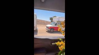 en la pulga