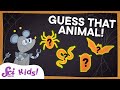 Animal Navigation and Adaptations