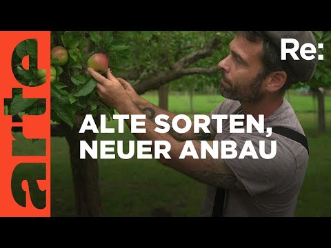 Äpfel ohne Pestizide | ARTE Re: