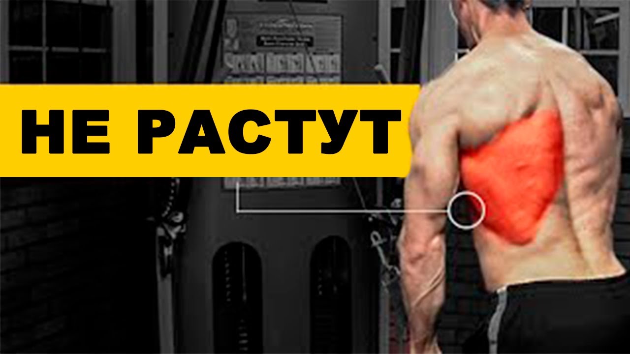 Как Заставить Широчайшие Расти
