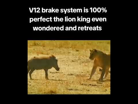 Kasongo Mwenyewe #KingWarthog #subscribemychannel #subscribemychannel