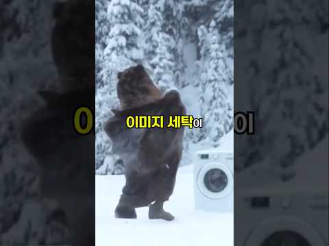 이미지 세탁이 가장 잘 된 동물