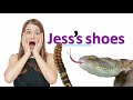 Understanding Apostrophes