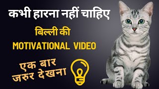 कभी हारना नहीं चाहिए 🔥| बिल्ली की MOTIVATIONAL VIDEO 😺 #animals #motivation