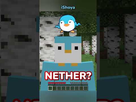 Minecraft, But I Can't Touch Something That Starts With The Letter "N"