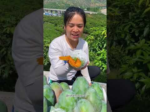 @vishal_vloggss #ytshorts #fruit #mangovarieties #video #mango #facts #shortvideo #viralvideo #fruit