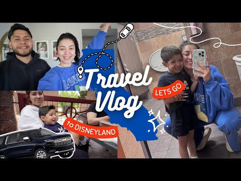 17 HOUR ROADTRIP TO DISNEYLAND| LIZARD IN OUR AIRBNB!😱