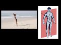 Body Planes and Axes of Motion