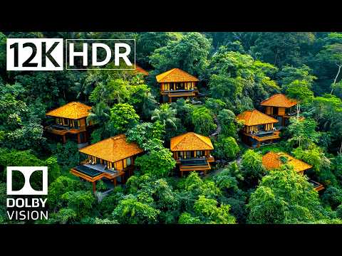 Ultimate Relaxing Nature Soundscapes in 12K HDR 120fps | Dolby Vision Test