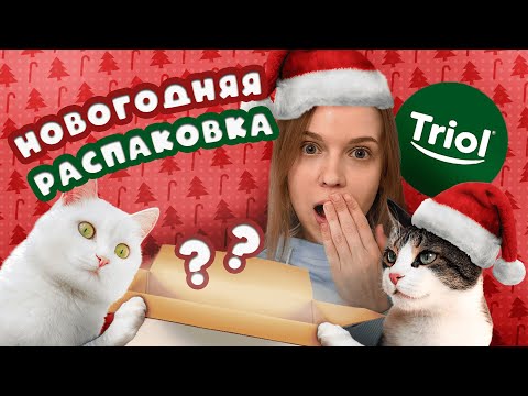 БОЛЬШАЯ НОВОГОДНЯЯ РАСПАКОВКА ПОДАРКОВ 🎄| ЧТО ПОДАРИЛИ КОШКАМ?!😱