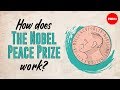 Nobel Peace Prize Insights