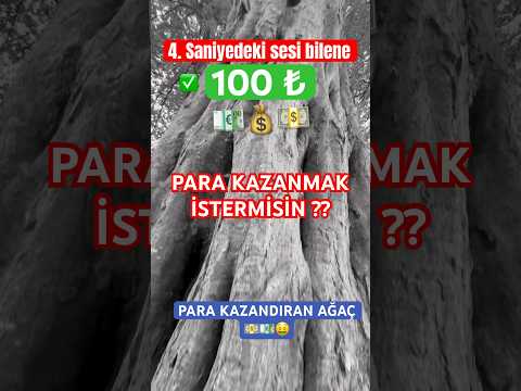 Para kazanmak istiyorsan yorumu oku #kısavideolar #para #parakazanma #parakazan #shortvideolar