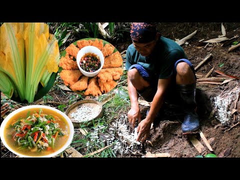 Pucuk waluh jamur sempagi masak ompyang goreng bunga waluh sambal kecap