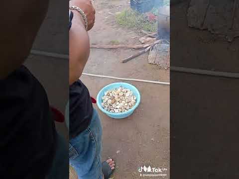 nhiêu đây ăn đủ không ta