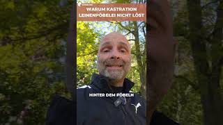 Kastration gegen Leinenpöbeln - klingt logisch. Ist es aber meistens nicht. 🐕