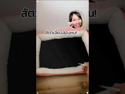 สัตว์เลี้ยงล่องหนแท้จริงคือ?