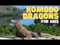 Komodo Dragons: Behavior and Conservation