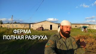 ФЕРМА/ КАК ЭТО ВСЁ ВОССТАНАВЛИВАТЬ?/Бурьян выше крыши/