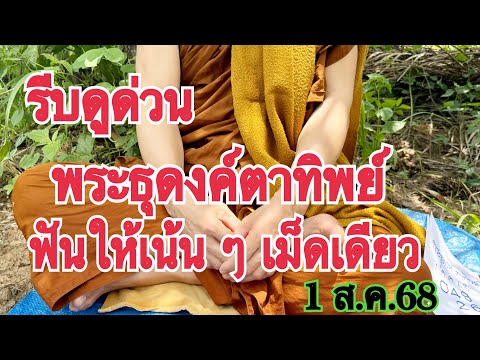 #รีบดู รีบลงทุน #พระธุดงค์ตาทิพย์ ฟันให้เน้น ๆ เลข 3 ตัวเม็ดเดียว 1 ส.ค.68