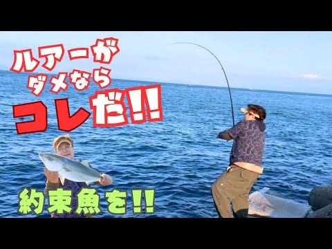 釣りたい時は絶対やるべき釣り方！青物根魚なんでも来いっ‼︎