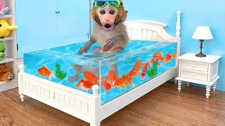 LIVE 🔴 Monkey Baby Chu Chu Eat Fried Egg And Swimming With puppies and ducklings in the garden