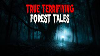 Lost in the Dark: 5 True Terrifying Tales from the Forest