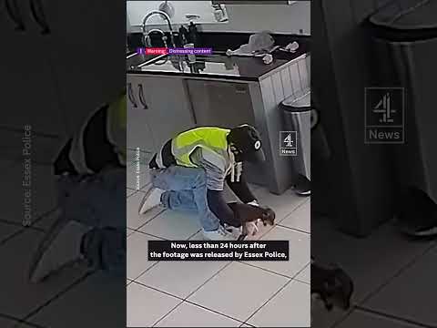 Puppy stolen by hammer-wielding robber returned home