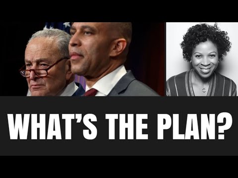 Dear Democratic Party Leadership, What’s Your Plan?