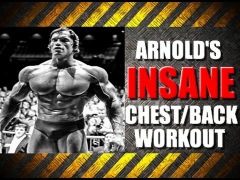 Arnold Chest And Back Workout Jobs Ecityworks