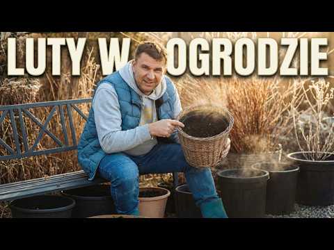 Pierwsze prace w ogrodzie w sezonie. Zaczynamy!!!