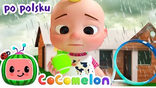 Idź stąd deszczu  | CoComelon po polsku 🍉🎶 Piosenki dla dzieci