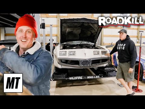 Roadkill Crew's Wild Road Trip: Rusty Trans Am Adventures