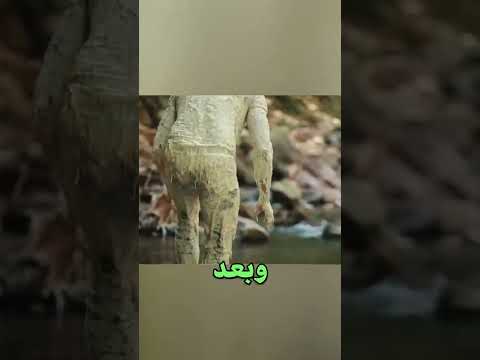 الكل فكروا مجنون !!