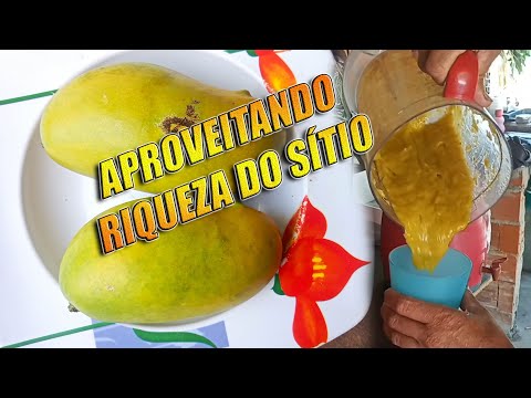 APROVEITANDO RIQUEZA DO SÍTIO