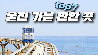 여름에 가면 더 좋은 경북 울진 여행지 Top7! 바다와, 계곡 숲까지 다 있는 멋진 여행지 소개해드릴게요.