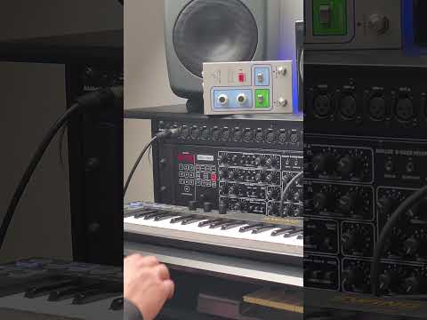 Discover the Behringer PRO800! Watch as we explore random presets and unveil unique sounds.