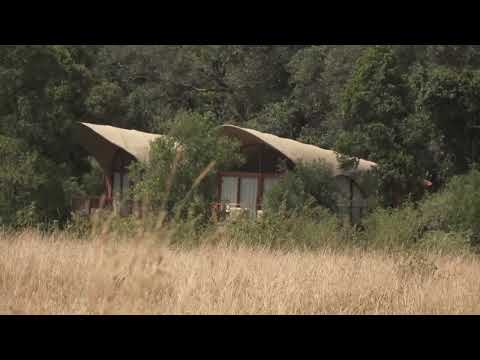 YouTube video thumbnail: Kenyan Activist Sues to Block Ritz-Carlton Safari Lodge Opening
